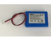 Polymer battery